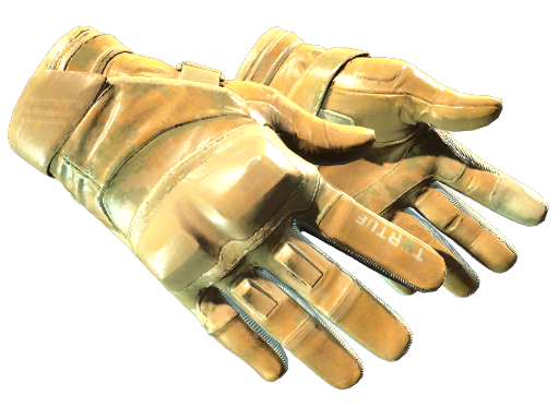 Moto Gloves | Transport